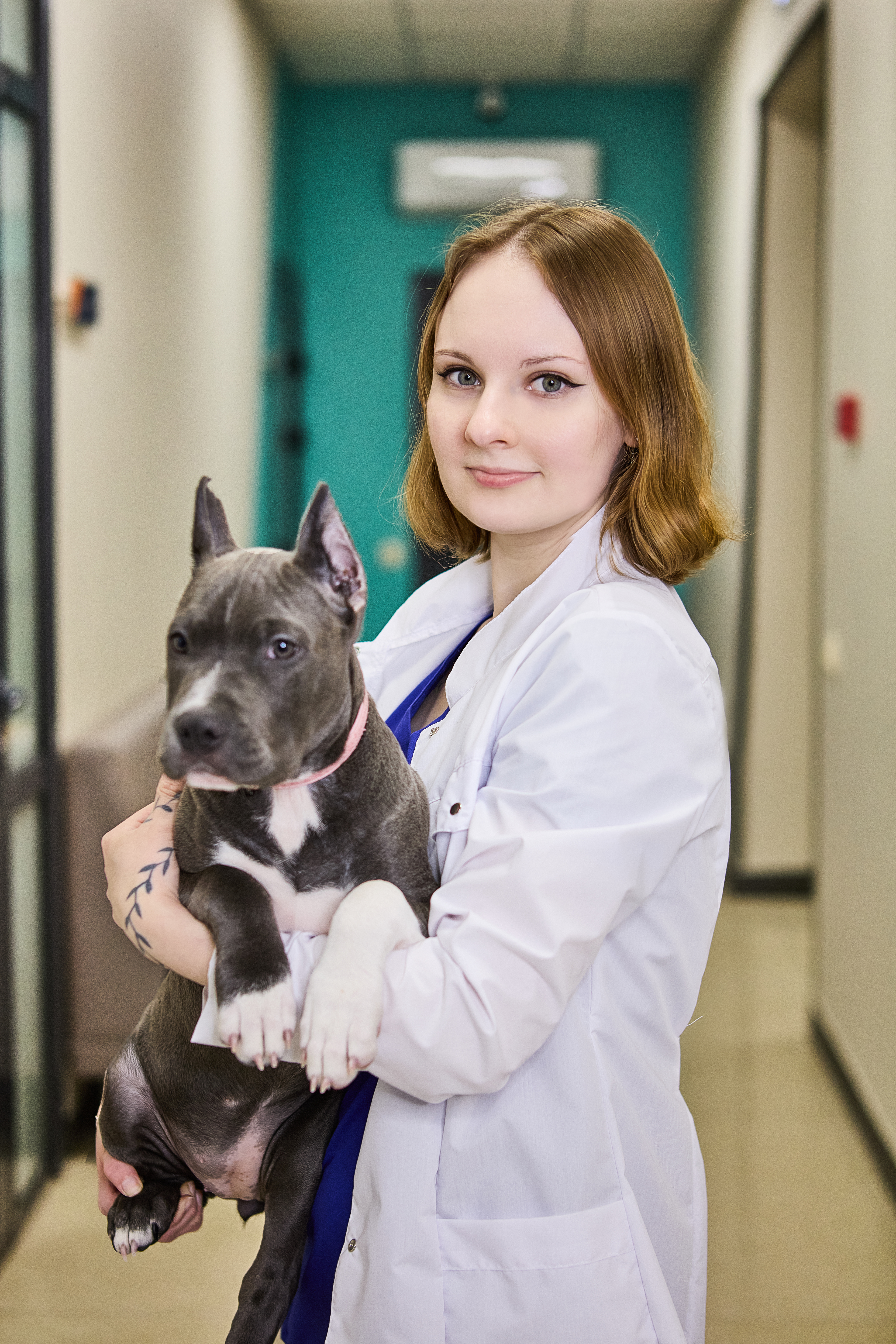 doctor
